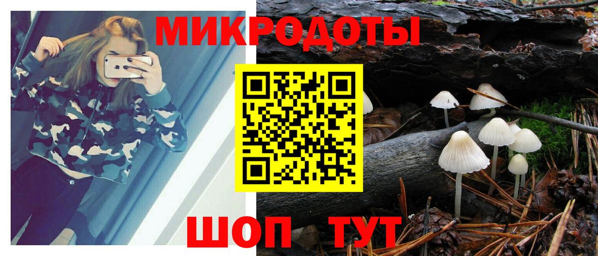 Псилоцибиновые грибы Cubensis  Псилоцибиновые грибы Psilocybe  что такое   Петропавловск-Камчатский  Вход с VPN 